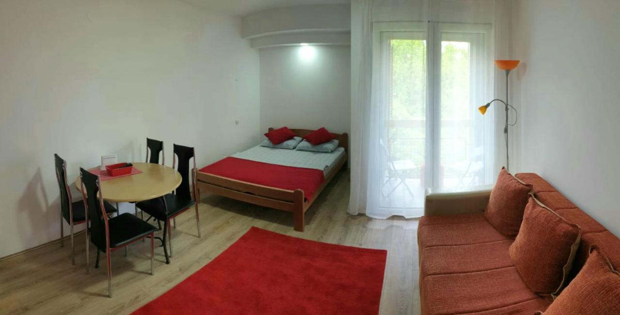 Apartman 4 - Studio Janja Sokobanja Buitenkant foto